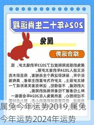 属兔今年运势2019,属兔今年运势2024年运势