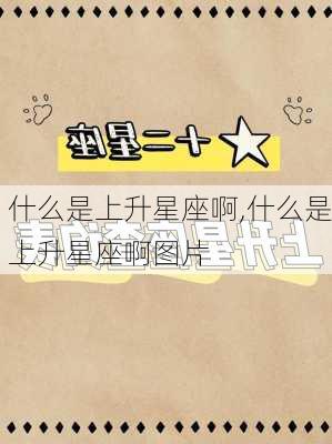 什么是上升星座啊,什么是上升星座啊图片