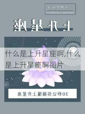 什么是上升星座啊,什么是上升星座啊图片