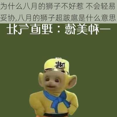 为什么八月的狮子不好惹 不会轻易妥协,八月的狮子超跋扈是什么意思