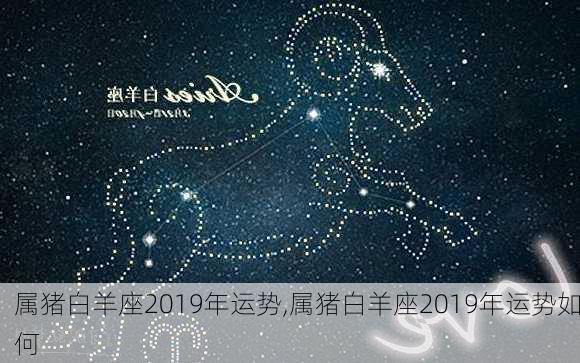 属猪白羊座2019年运势,属猪白羊座2019年运势如何