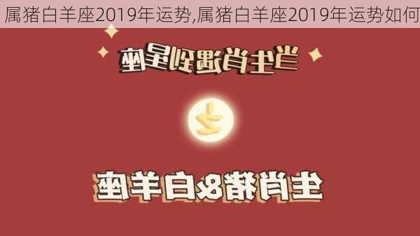 属猪白羊座2019年运势,属猪白羊座2019年运势如何