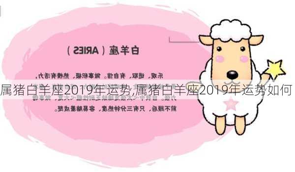 属猪白羊座2019年运势,属猪白羊座2019年运势如何