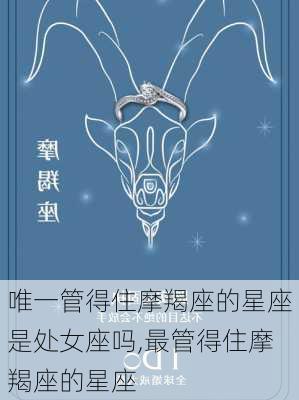 唯一管得住摩羯座的星座是处女座吗,最管得住摩羯座的星座