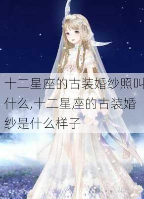 十二星座的古装婚纱照叫什么,十二星座的古装婚纱是什么样子