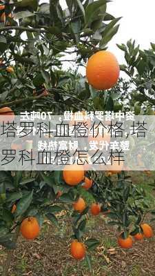 塔罗科血橙价格,塔罗科血橙怎么样