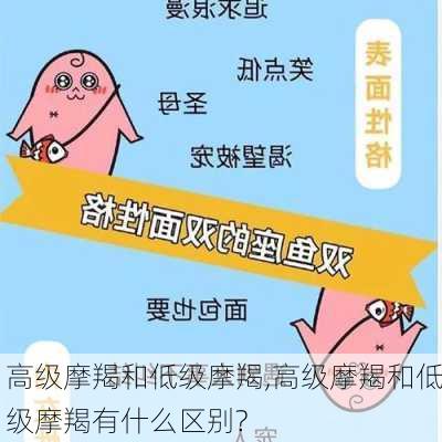 高级摩羯和低级摩羯,高级摩羯和低级摩羯有什么区别?