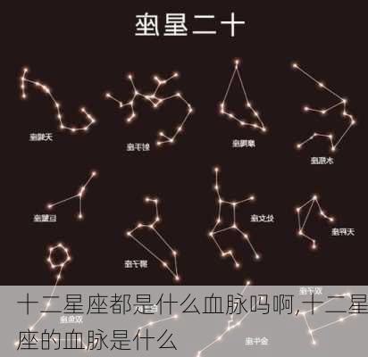 十二星座都是什么血脉吗啊,十二星座的血脉是什么