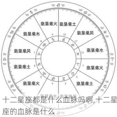 十二星座都是什么血脉吗啊,十二星座的血脉是什么