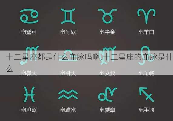 十二星座都是什么血脉吗啊,十二星座的血脉是什么