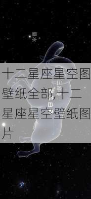 十二星座星空图壁纸全部,十二星座星空壁纸图片