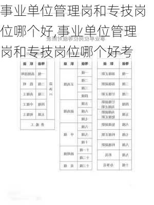 事业单位管理岗和专技岗位哪个好,事业单位管理岗和专技岗位哪个好考