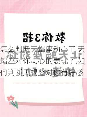 怎么判断天蝎座动心了 天蝎座对你动心的表现了,如何判断天蝎座对你有好感