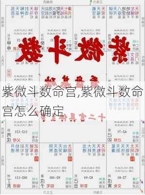 紫微斗数命宫,紫微斗数命宫怎么确定