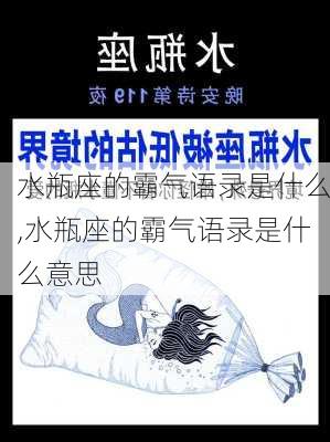 水瓶座的霸气语录是什么,水瓶座的霸气语录是什么意思